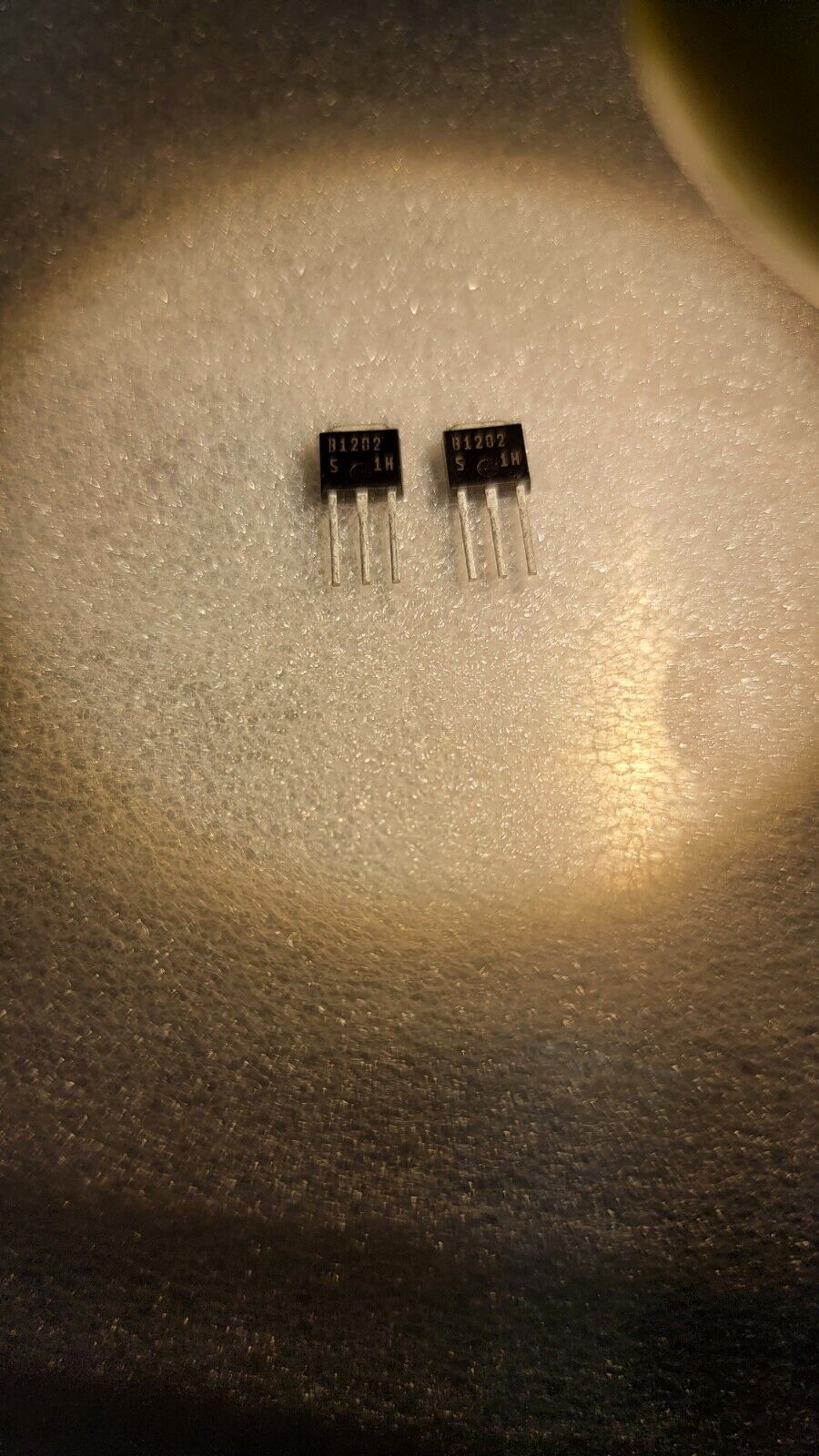 (2 Pack) Sb1202 Bipolar Resistor