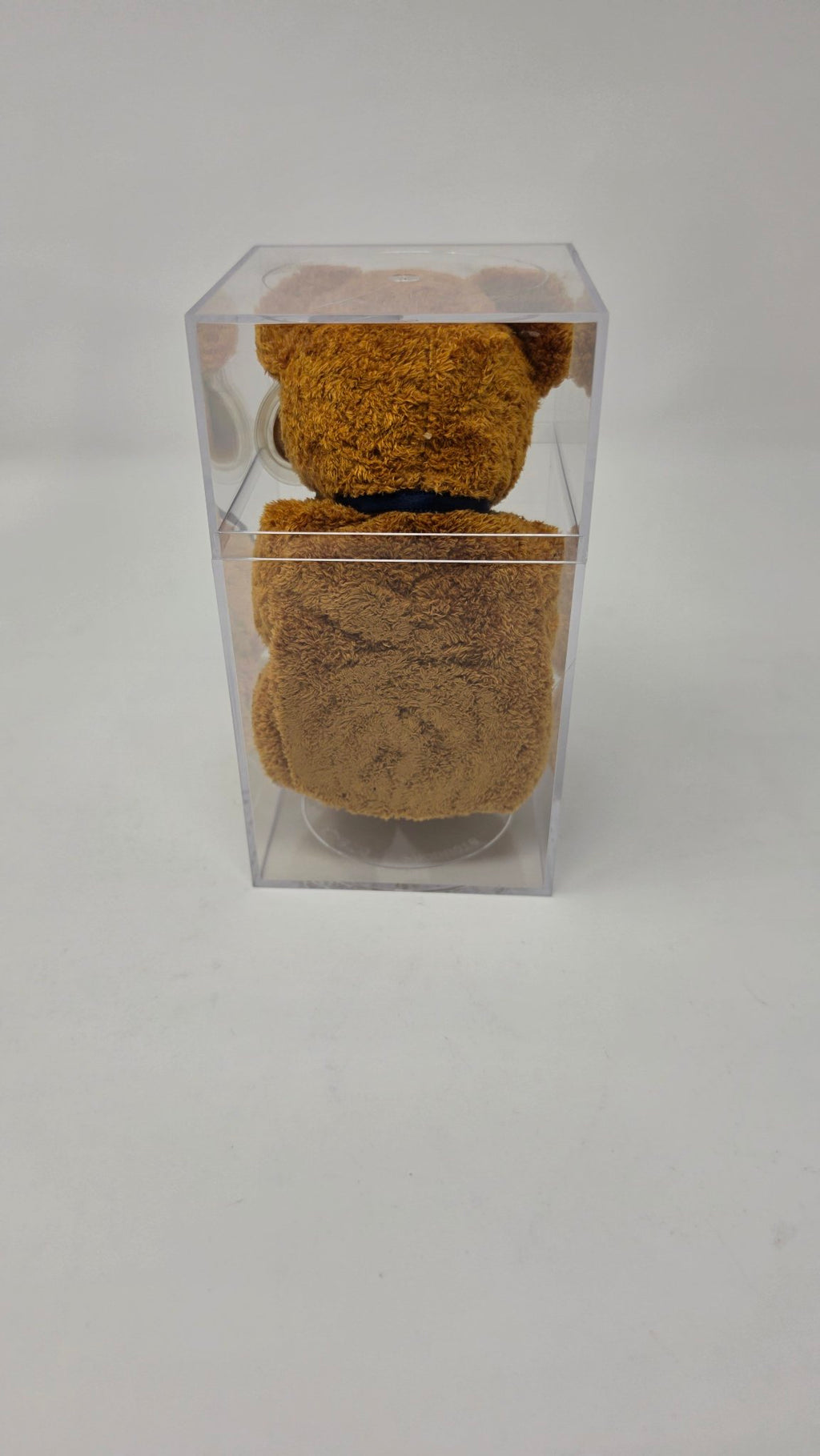 Ty Beanie Baby Fuzz — Brown Bear with Tags & Display Case